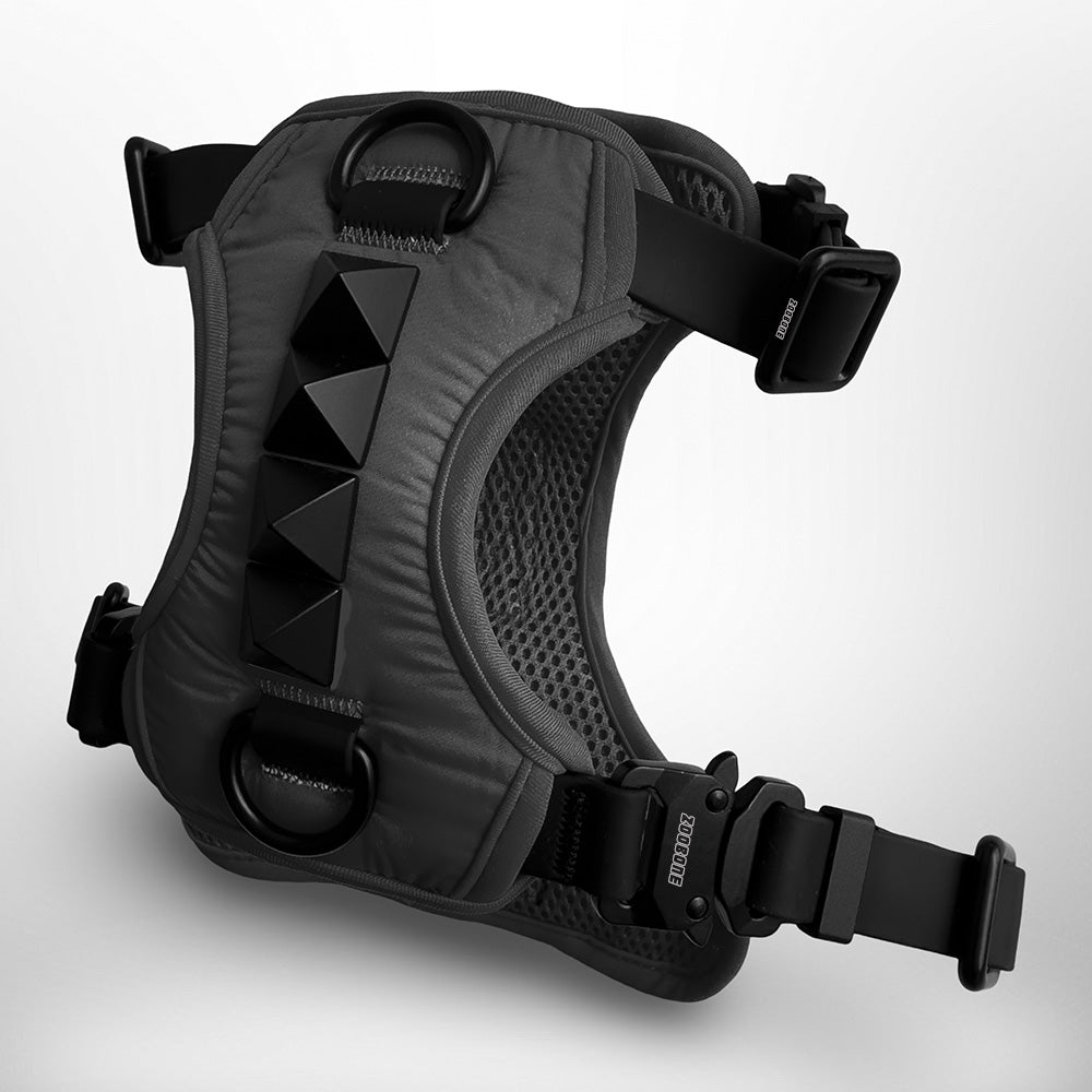 ZSPIKE HARNESS